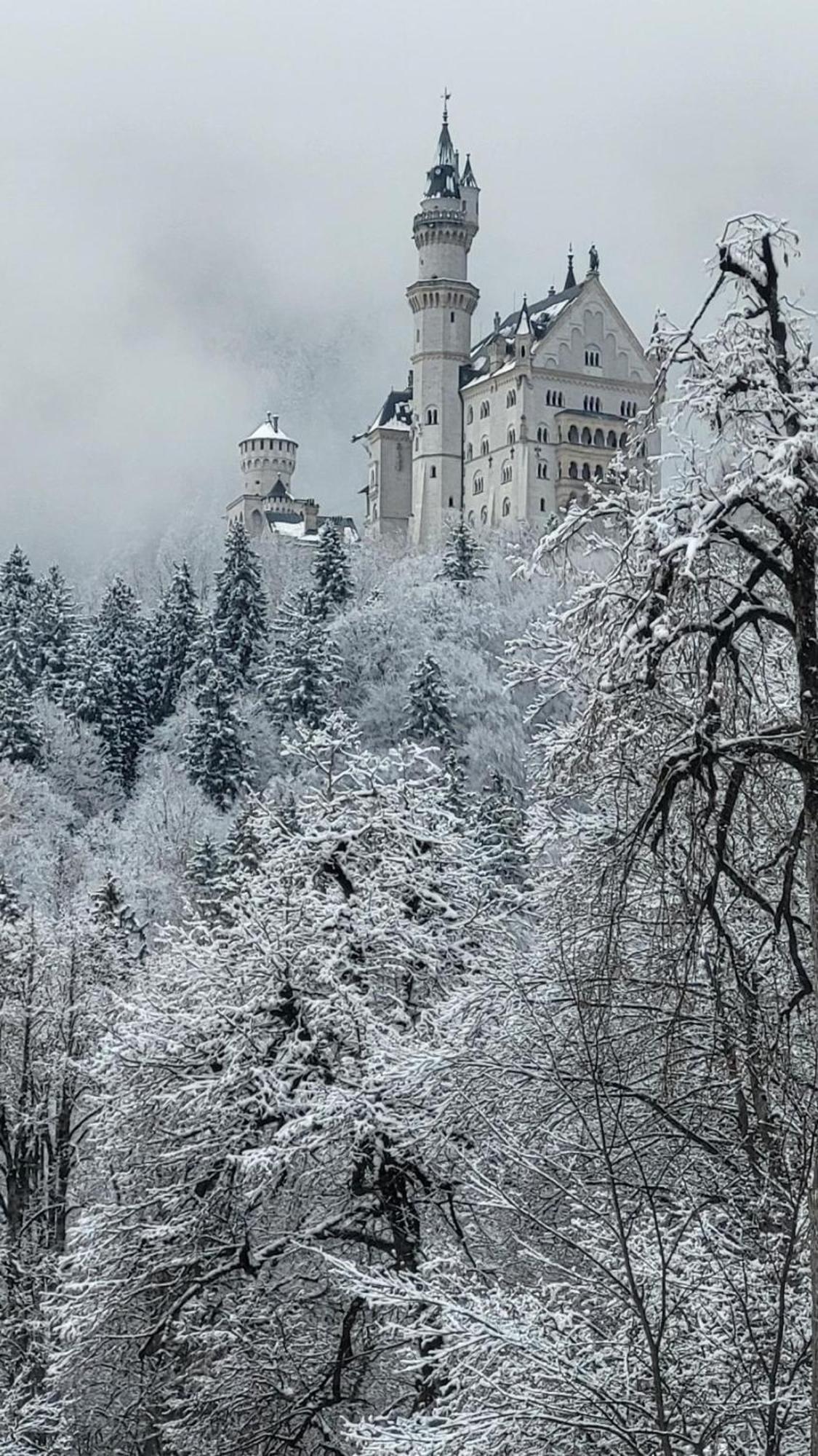 Füssen House La Neuschwanstein Blick - Budget City Hotel מראה חיצוני תמונה