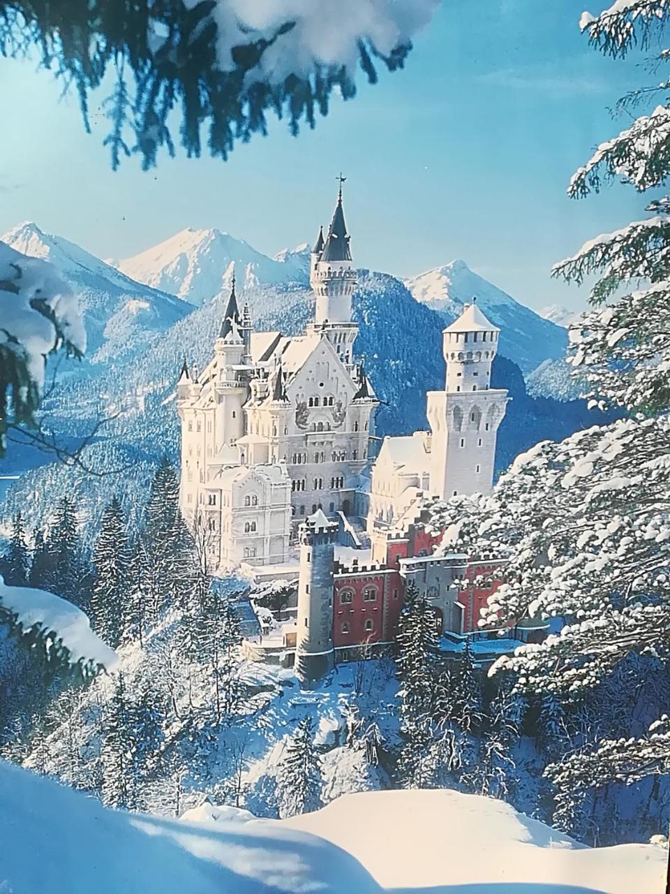 Füssen House La Neuschwanstein Blick - Budget City Hotel מראה חיצוני תמונה